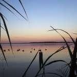 112314_duck hunt_lake somerville