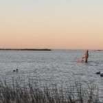 1-10-14_Costal-Duck-Hunt_retreiving_panoramic