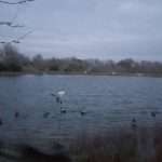 20190119_070806