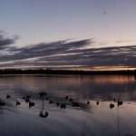 Lake-Somerville-Duck-Hunt-panorama