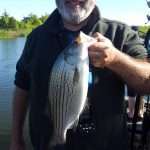 Randy Rowley with his 18 1/4″ hybrid bass
